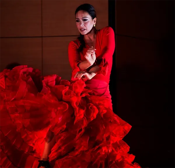 Professional dancers - We Call It Flamenco: A Spanish Dance Show