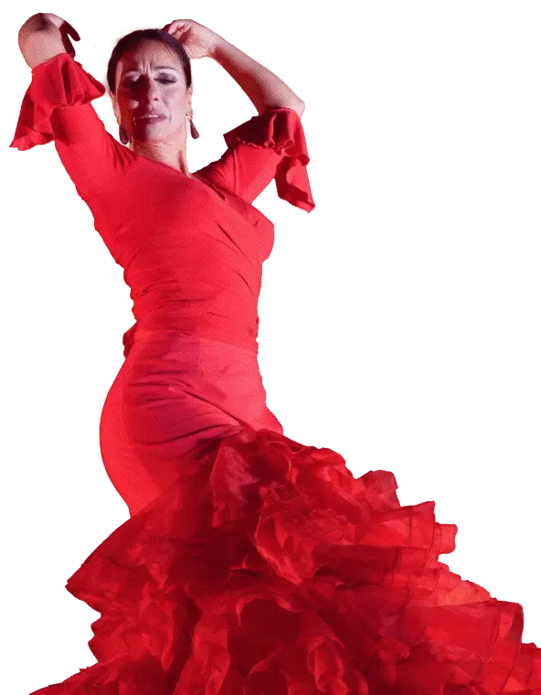 We call it Flamenco - We call it Belevenis: Muziek- en dansshow