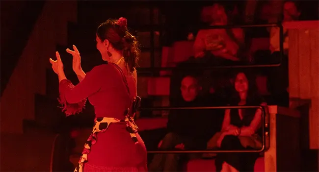 We Call It Flamenco - We Call It Flamenco : un spectacle de danse espagnole